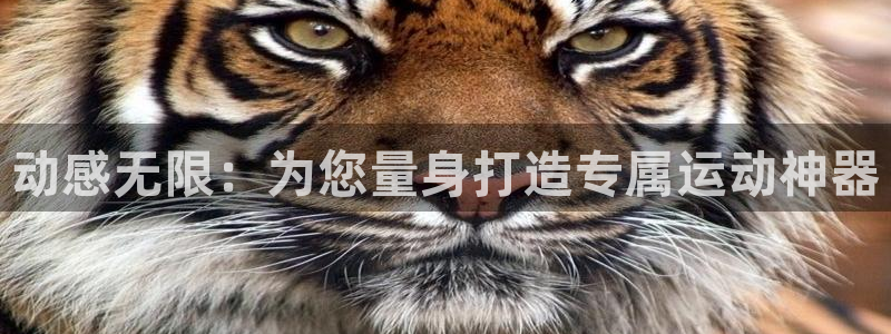 熊猫体育官网下载是干嘛的公司:动感无限:为您量身打造专属运动
