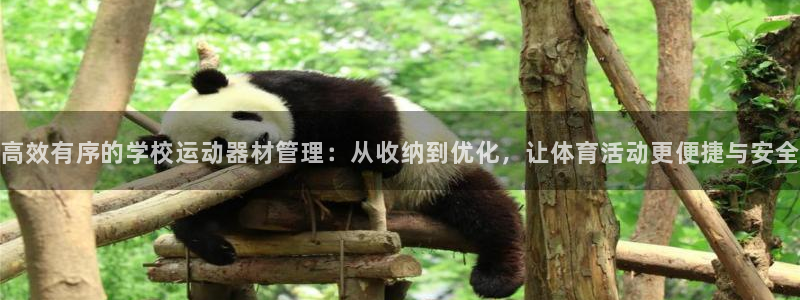 熊猫体育官网下载平台是正规平台吗知乎:高效有序的学校运动器材